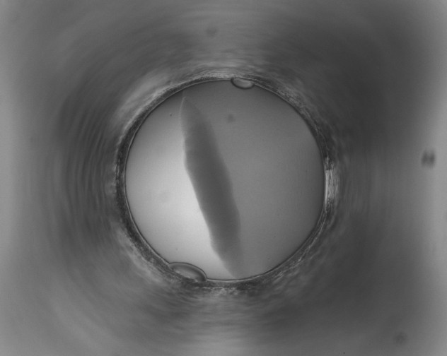 X0000115090243200911171224
