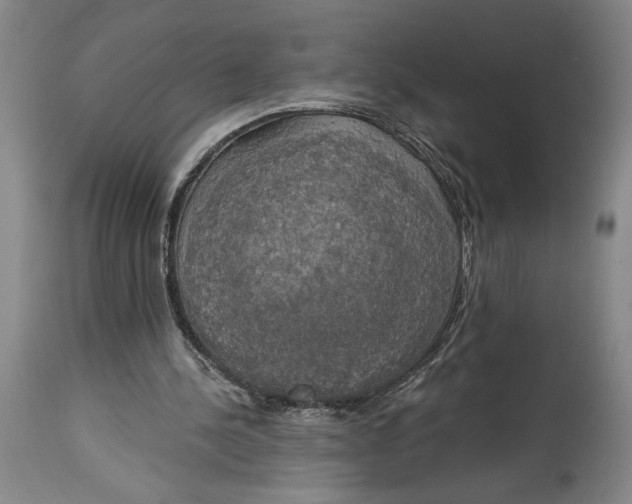 X0000115090244200911171224
