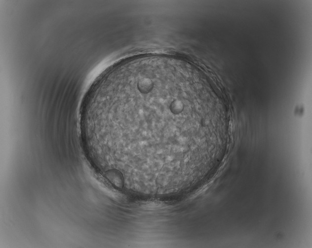 X0000115090246200911171224