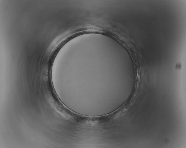 X0000115090247200911171224