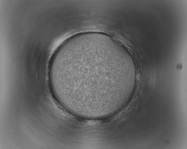 X0000115090248200911171224