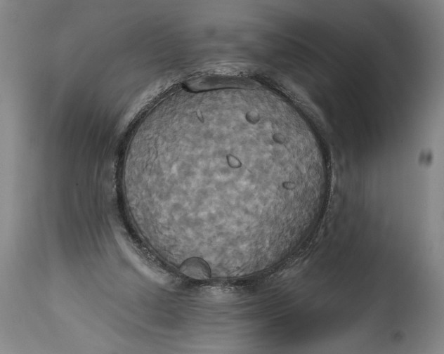 X0000115090250200911171224