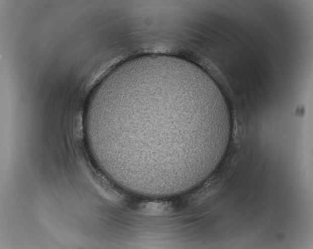 X0000115090251200911171224