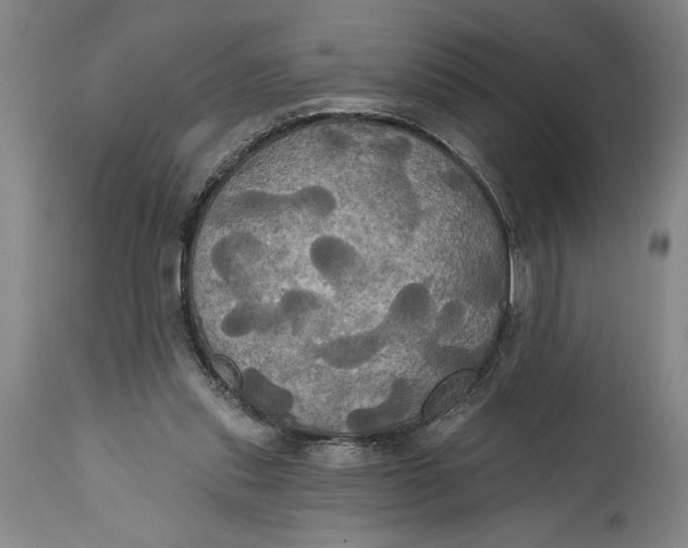 X0000115090253200911171224