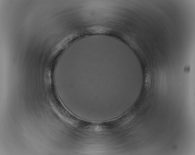 X0000115090254200911171224