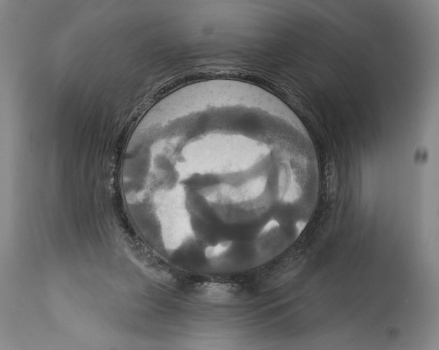 X0000115090255200911171224
