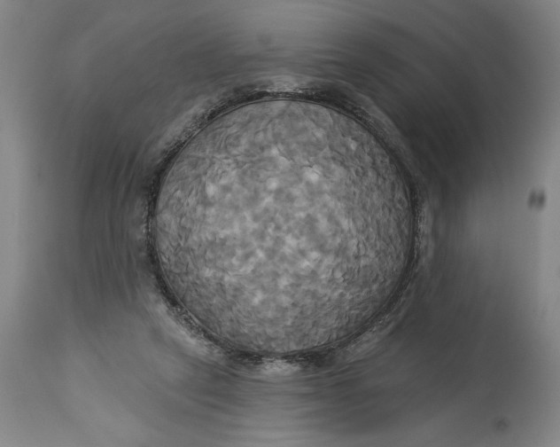 X0000115090257200911171224
