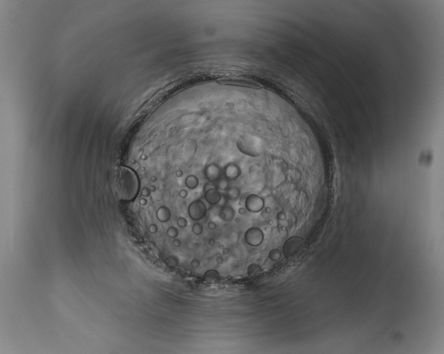 X0000115090258200911171224