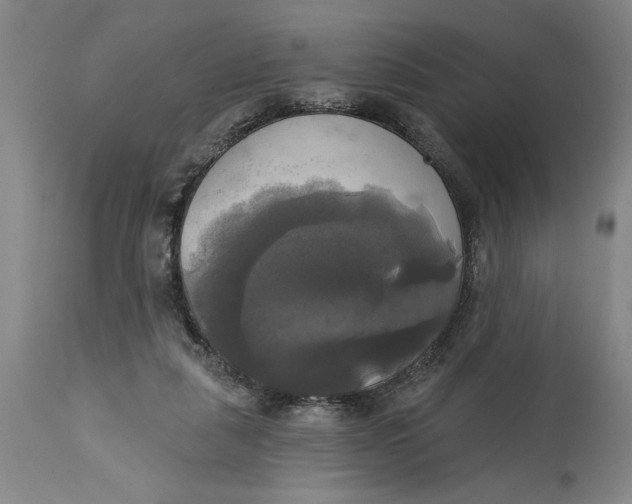 X0000115090259200911171224