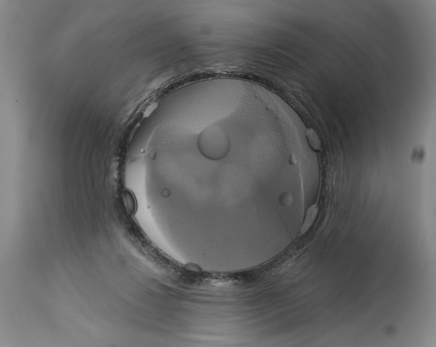 X0000115090260200911171224