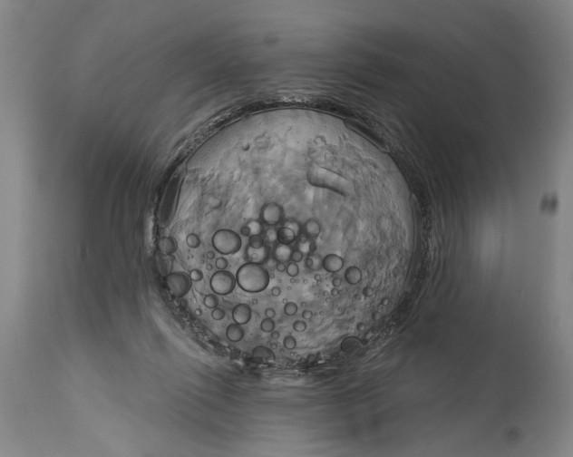 X0000115090262200911171224