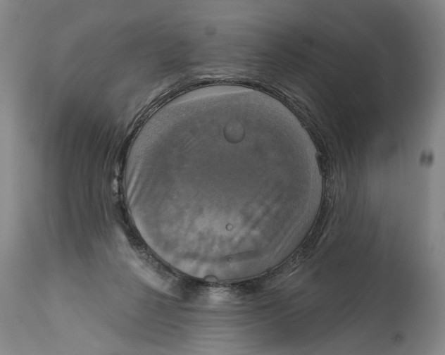 X0000115090264200911171224