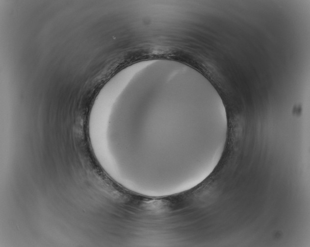 X0000115090269200911171224