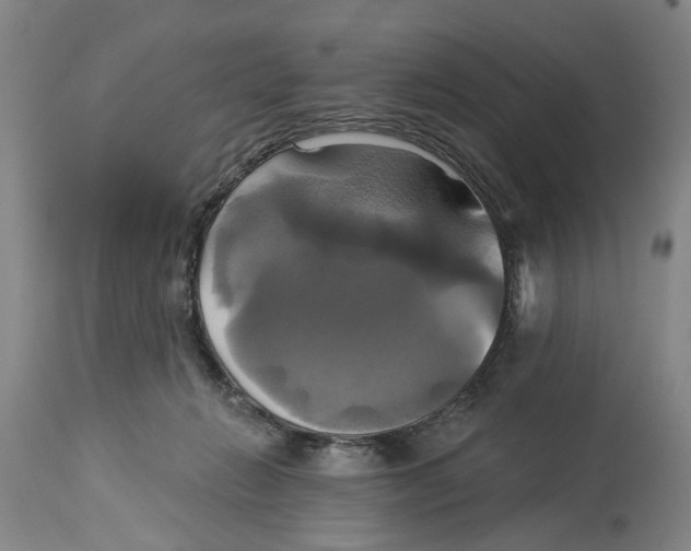 X0000115090270200911171224