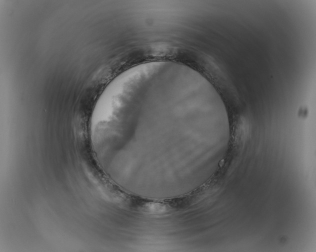 X0000115090272200911171224