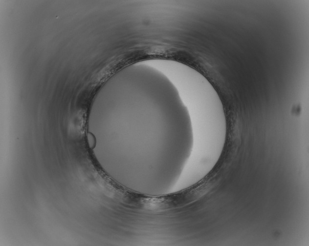 X0000115090273200911171224