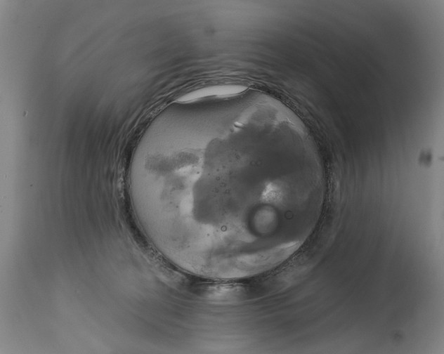 X0000115090274200911171224