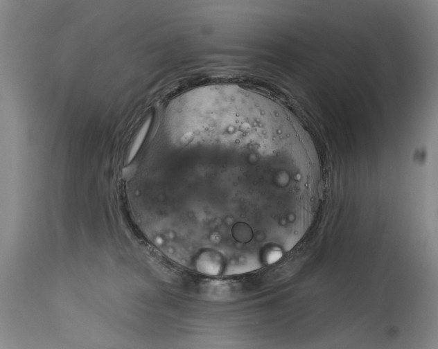 X0000115090277200911171224