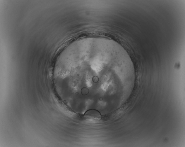 X0000115090278200911171224