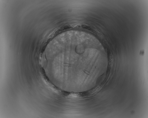 X0000115090280200911171224