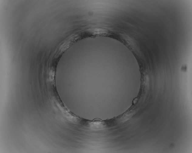 X0000115090281200911171224