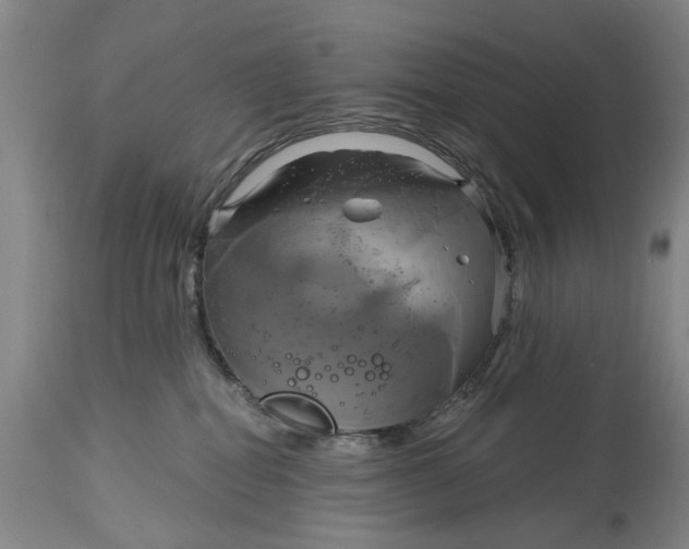 X0000115090282200911171224