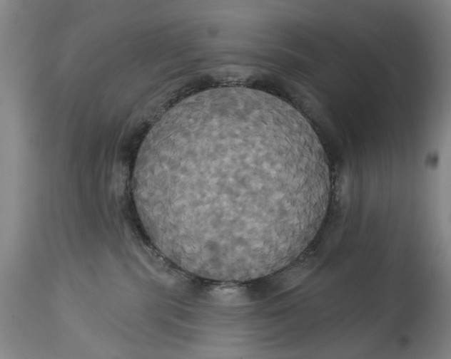 X0000115090283200911171224