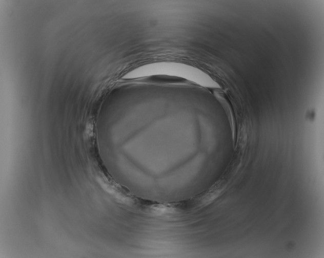 X0000115090284200911171224