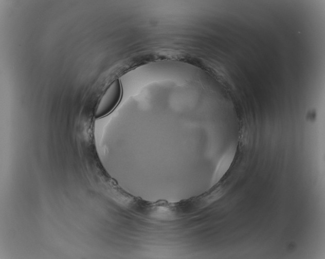 X0000115090285200911171224