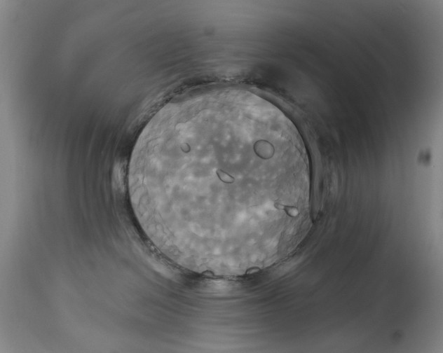 X0000115090286200911171224