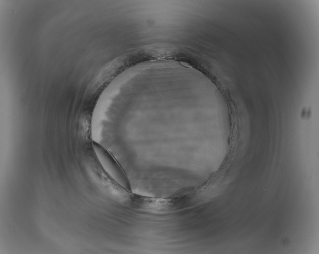 X0000115090288200911171224