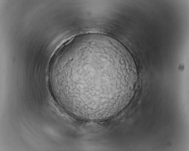 X0000115090290200911171224