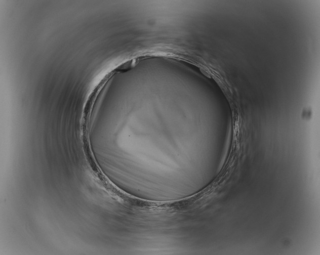 X0000115090292200911171224