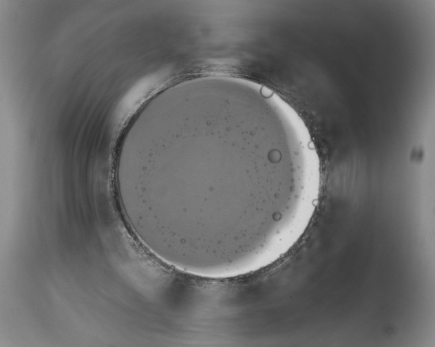 X0000115090293200911171224