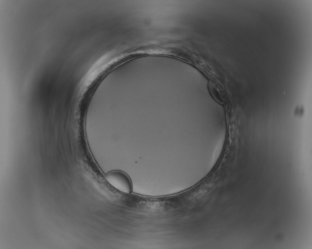 X0000115090295200911171224