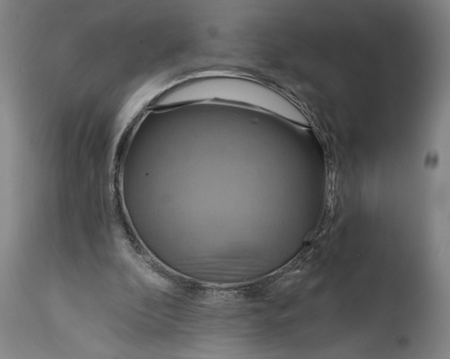 X0000115090296200911171224