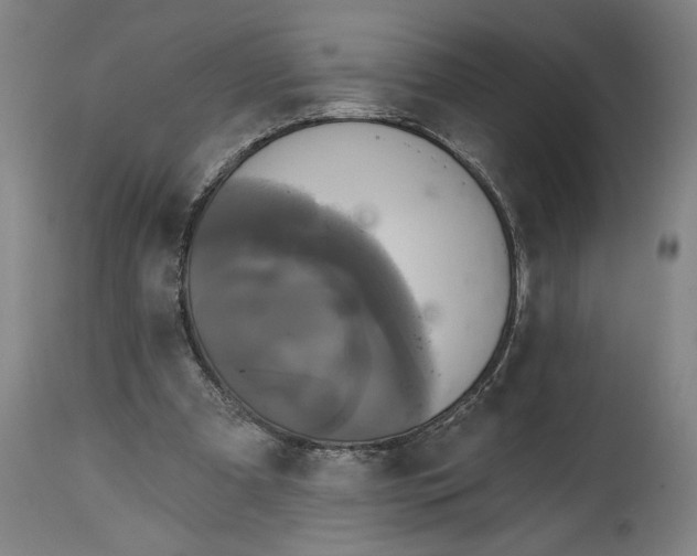X0000115090297200911171224