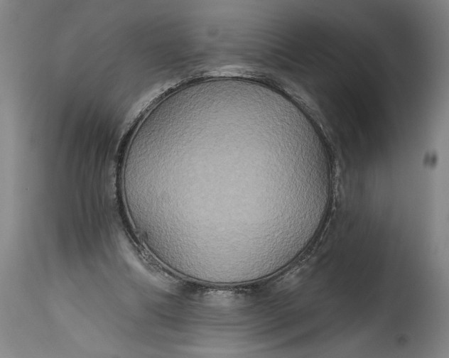 X0000115090298200911171223