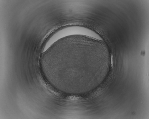 X0000115090300200911171223
