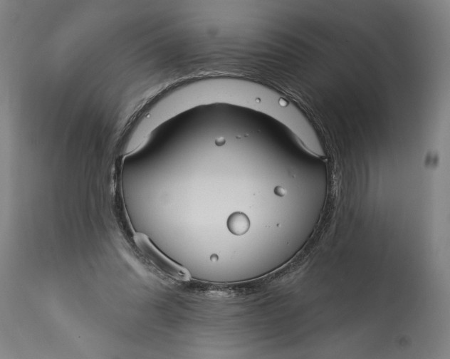 X0000115090302200911171223