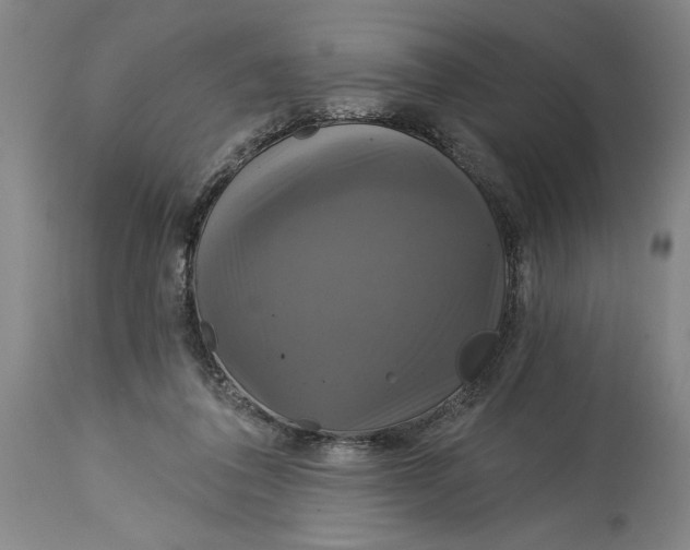 X0000115090308200911171223