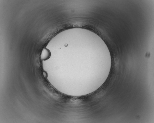 X0000115090311200911171223