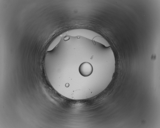 X0000115090312200911171223