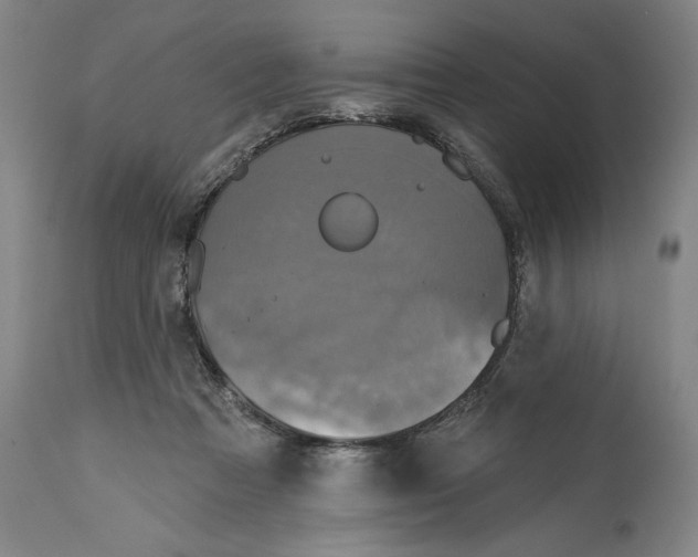 X0000115090313200911171223