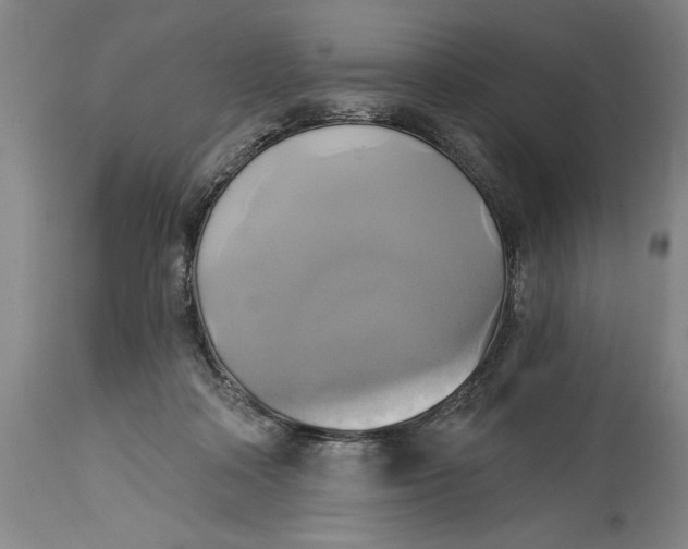 X0000115090314200911171223