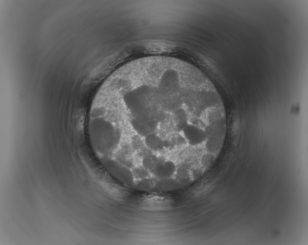 X0000115090315200911171223