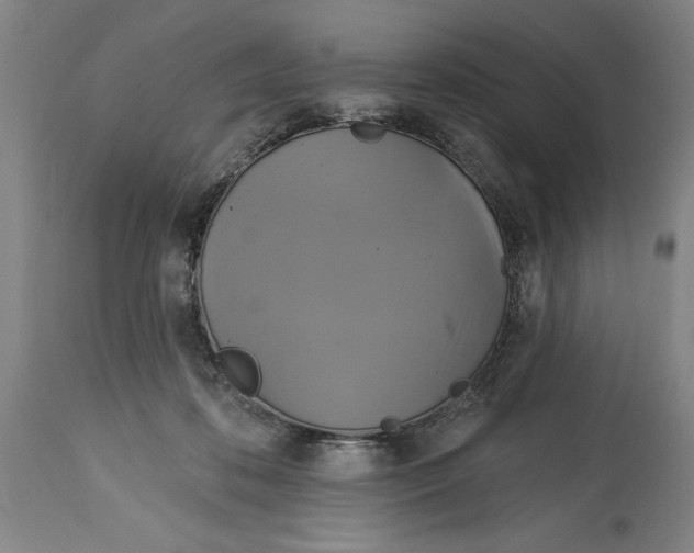 X0000115090316200911171223