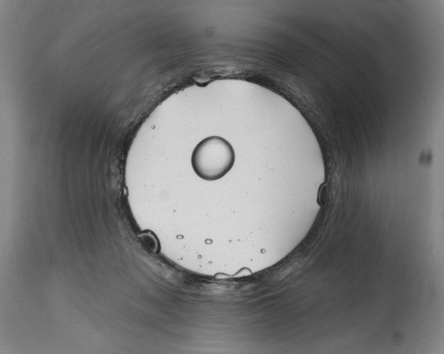 X0000115090317200911171223