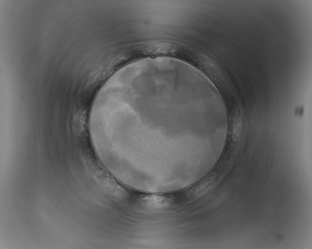 X0000115090326200911171223