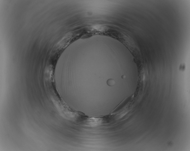 X0000115090328200911171223